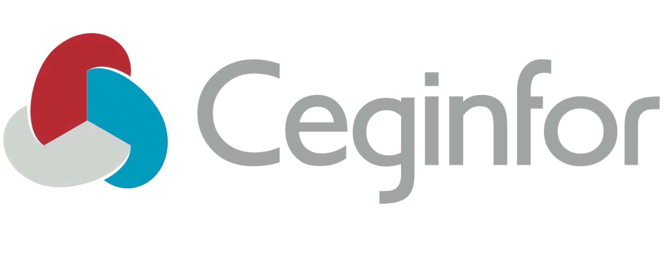 Ceginfor Gestión Logo